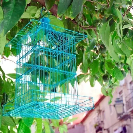 Appartamento Portas Do Castelo Lisbona